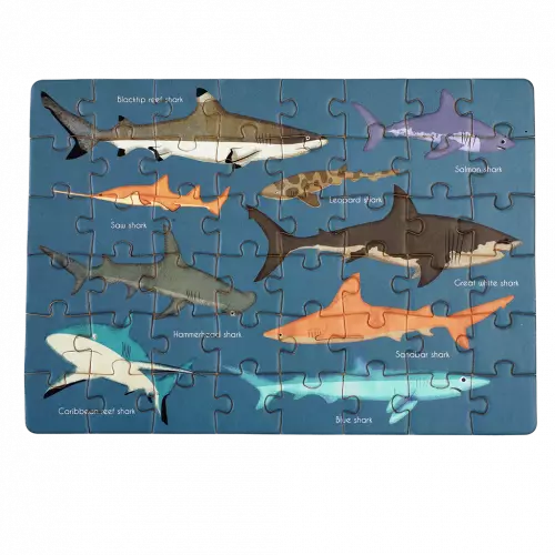 Mini-Puzzle Sharks