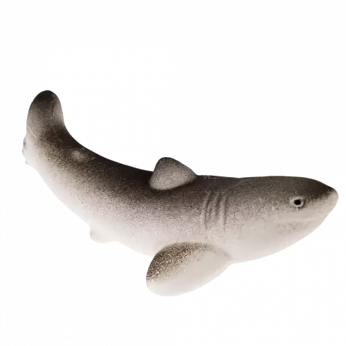 Riesenei mit schlüpfendem Haifisch