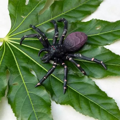 Tarantula
