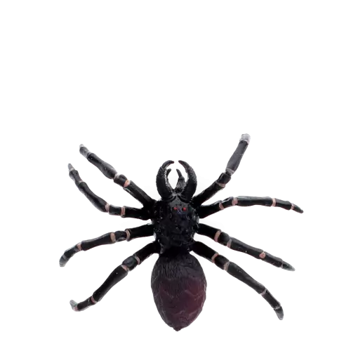 Tarantula
