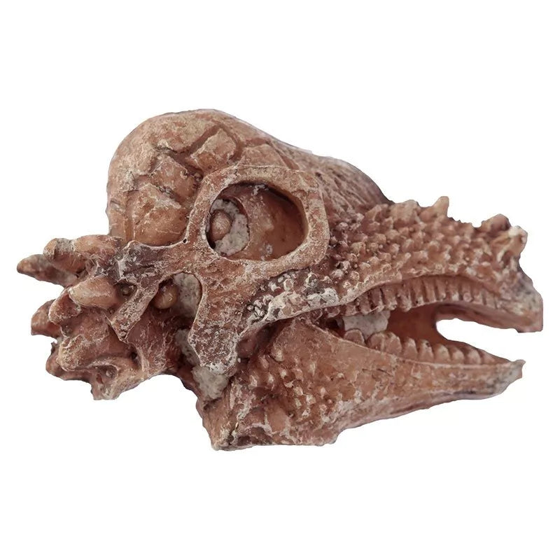 Ausgrabungs-Set Dino-Schädel