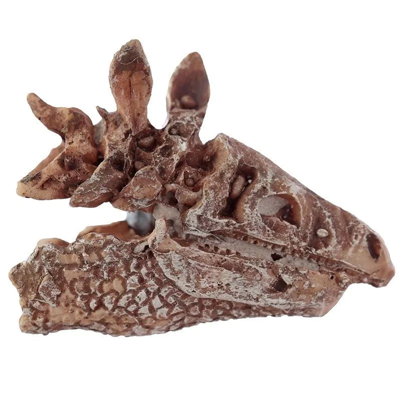 Ausgrabungs-Set Dino-Schädel