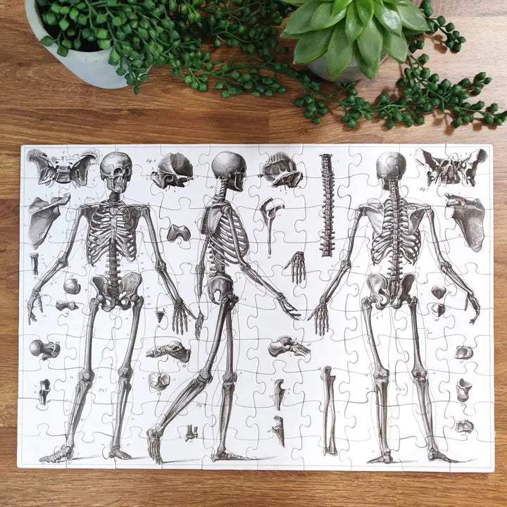 100-teiliges Puzzle - Skelett