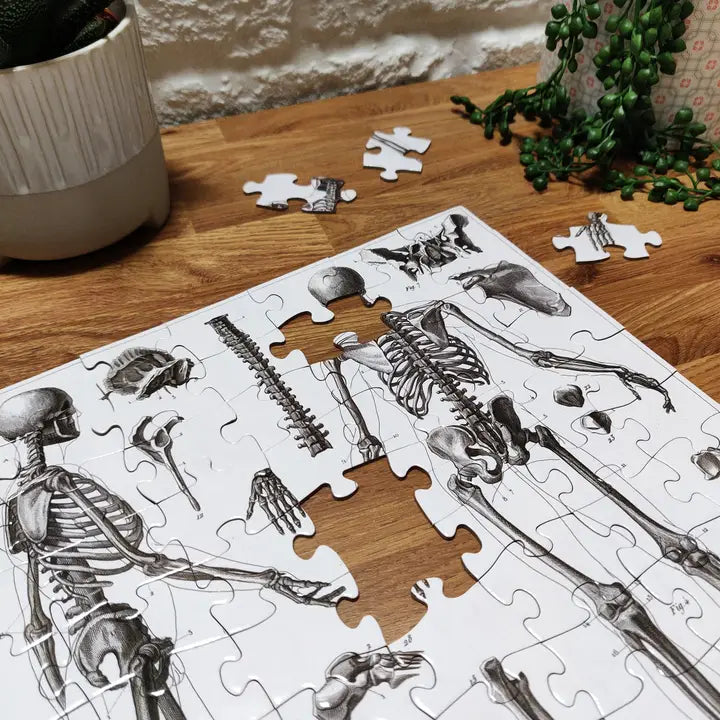 100-teiliges Puzzle - Skelett