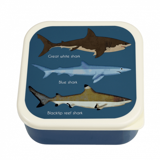 3er Set Snackdosen Sharks
