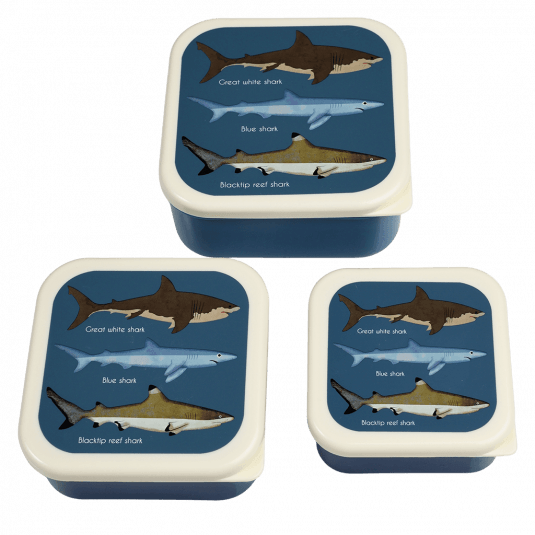 3er Set Snackdosen Sharks