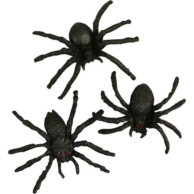 Spinne