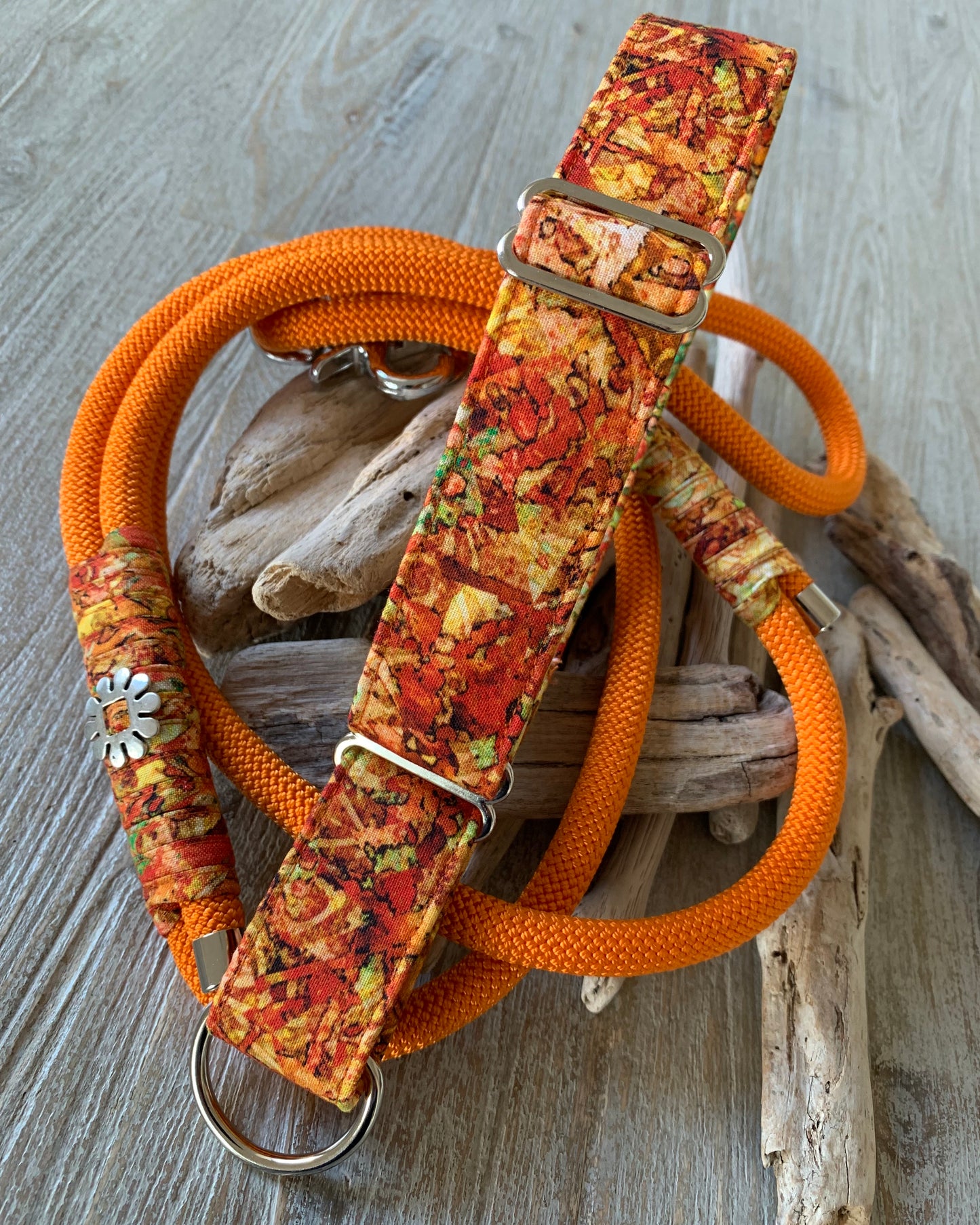 Hunde-Halsband & Leine "Juicy Fruit"