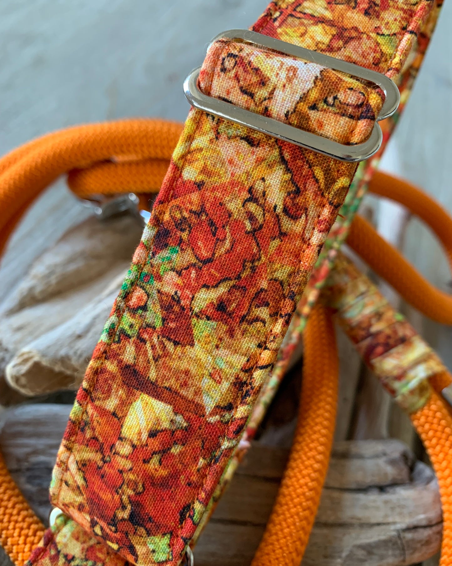 Hunde-Halsband & Leine "Juicy Fruit"