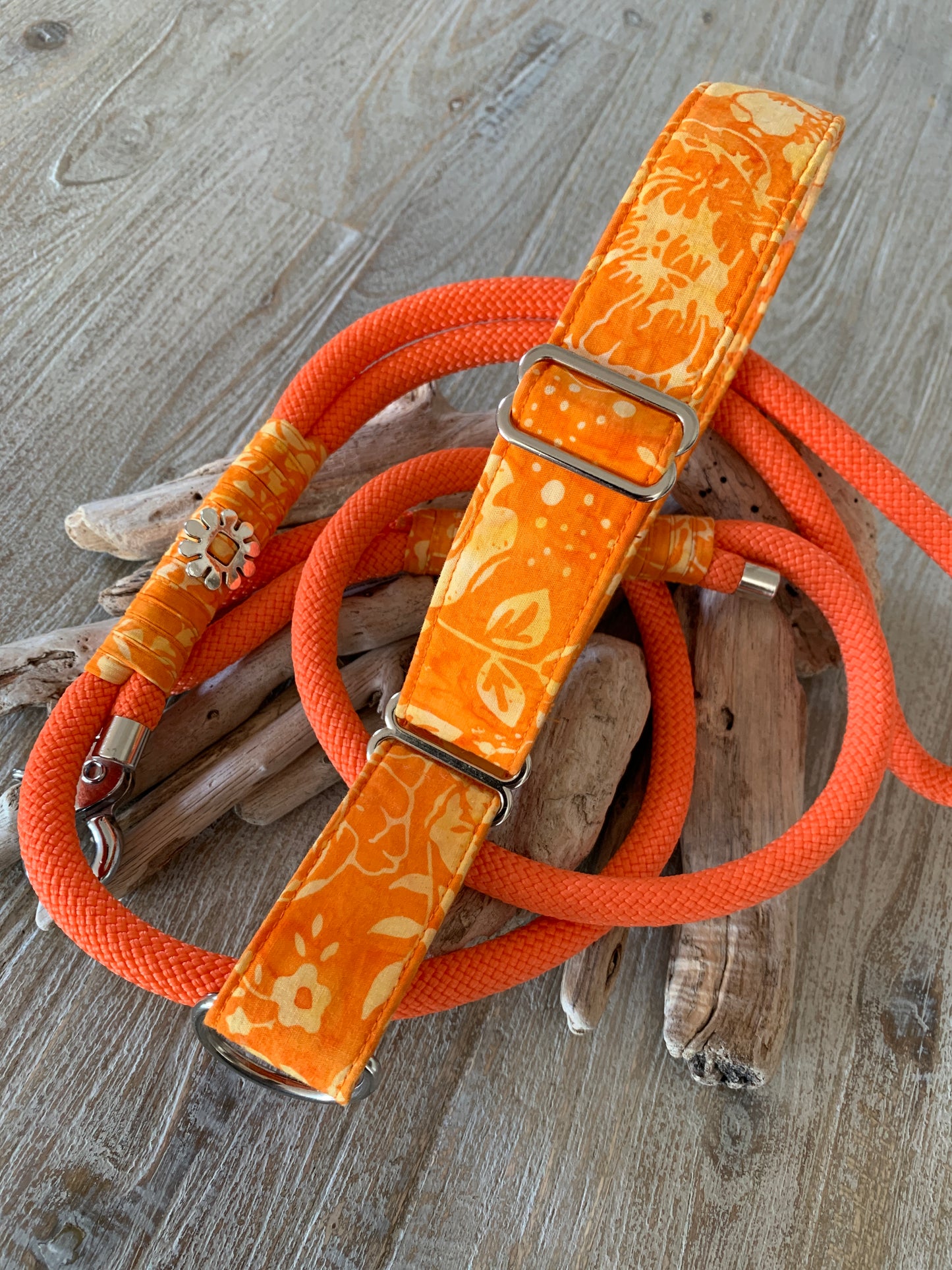 Hunde-Halsband & Leine "Orange Power"
