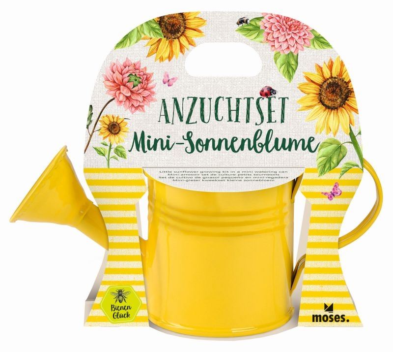 Mini-Sonnenblume in Giesskanne