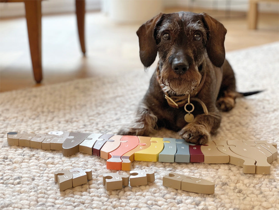 Buchstabenpuzzle Hund