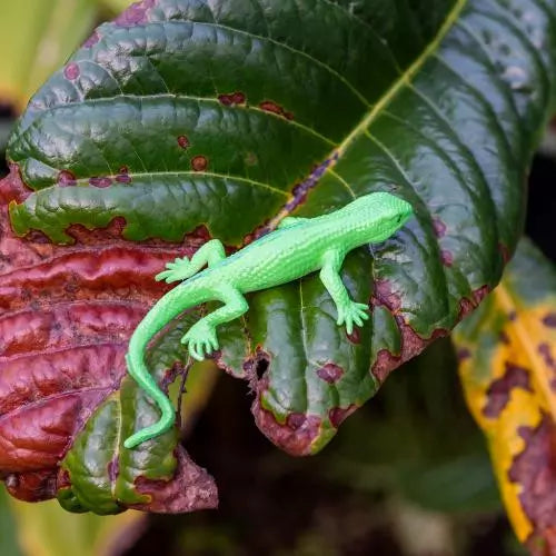 Super-Elastische Geckos