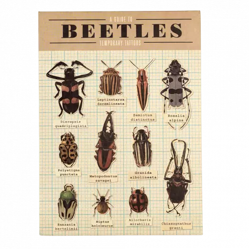 Nicht-permanente Tattoos - Insekten