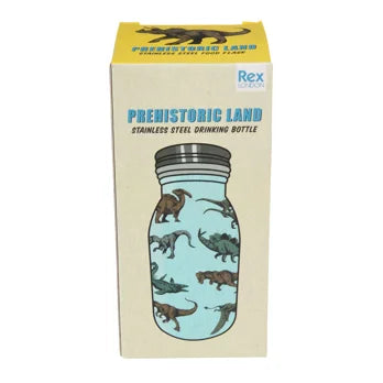 Kleine Wasserflasche aus Edelstahl Dino  250ml