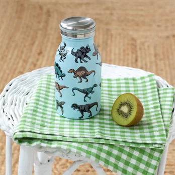 Kleine Wasserflasche aus Edelstahl Dino  250ml