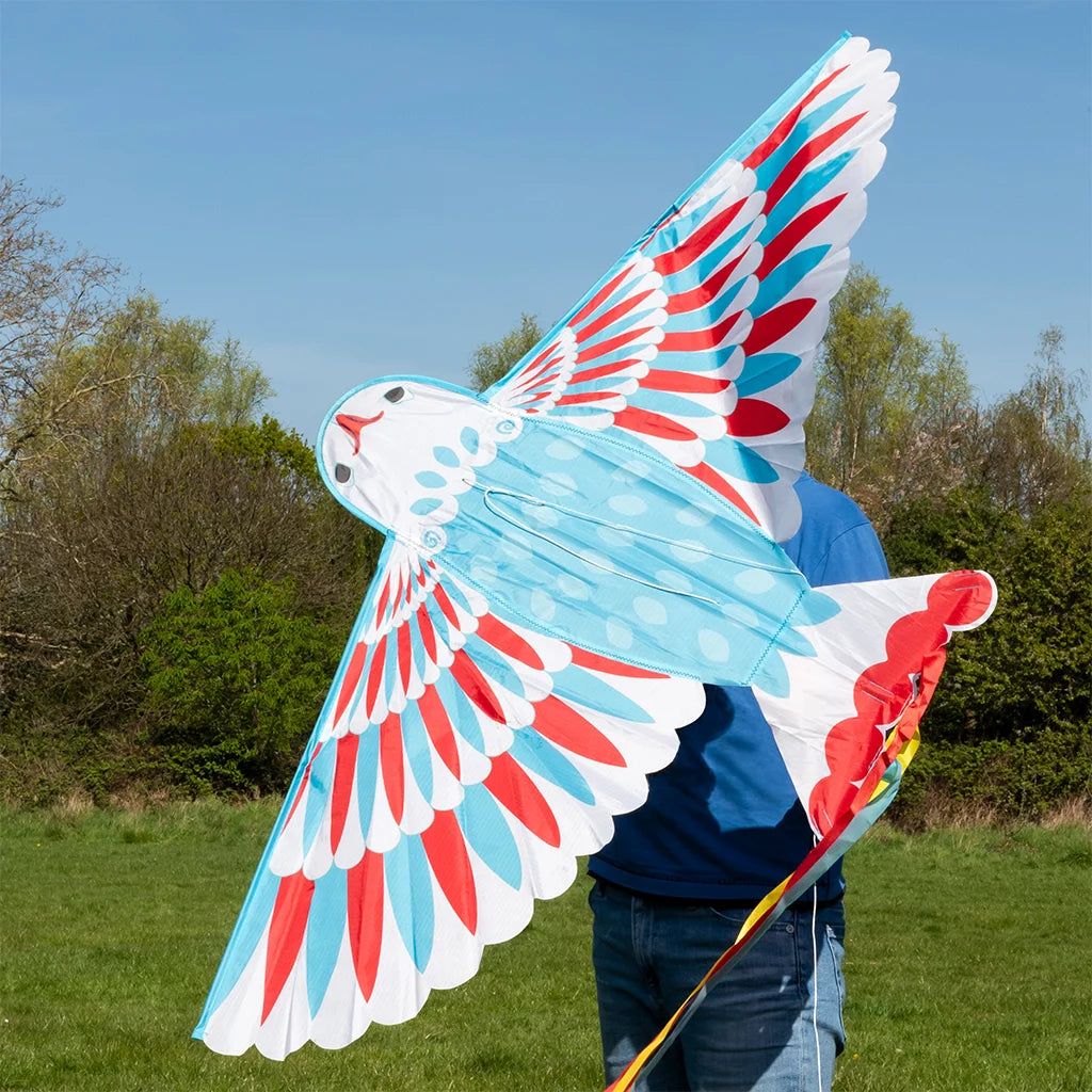 Mega-Drachenflieger - Vogel