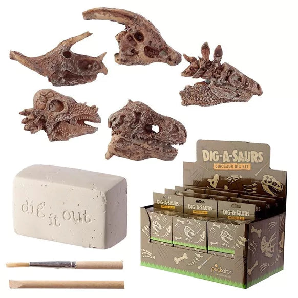 Ausgrabungs-Set Dino-Schädel