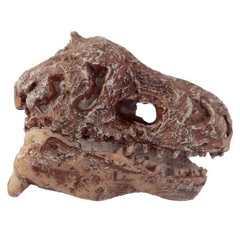 Ausgrabungs-Set Dino-Schädel