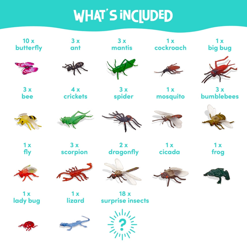 50 verschiedene Insekten