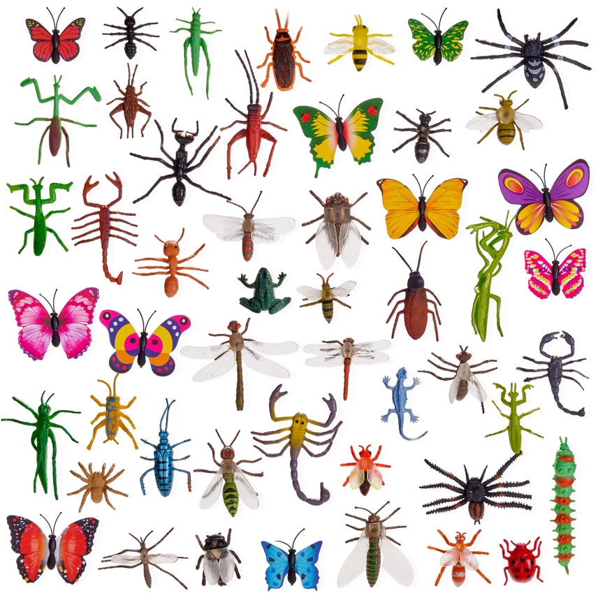 50 verschiedene Insekten