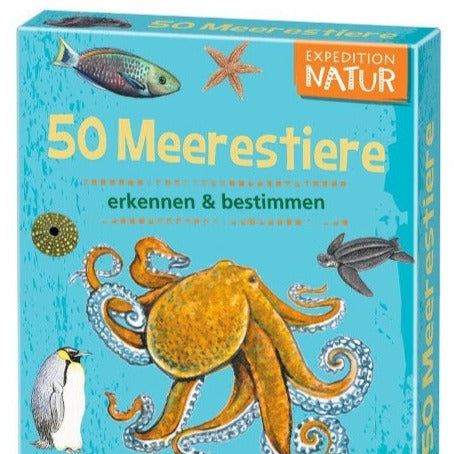50 Meerestiere