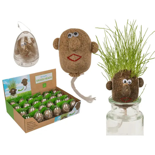 Grasskopf zum Selberziehen im Kunststoff-Ei, 8 cm