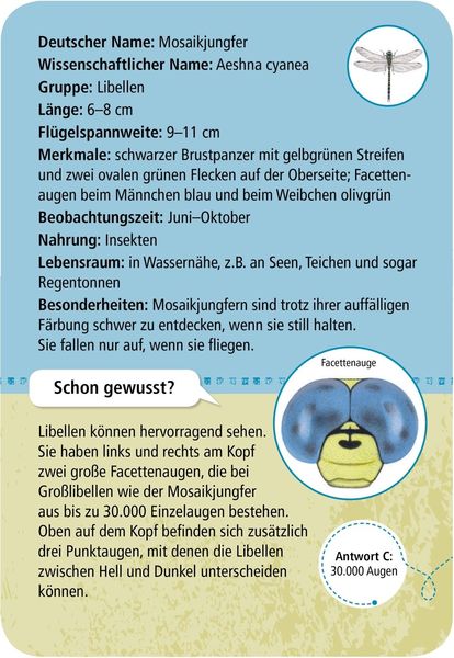 50 heimische Insekten & Spinnen